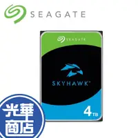 在飛比找蝦皮購物優惠-【熱銷款】Seagate 希捷 SkyHawk 4TB 3.