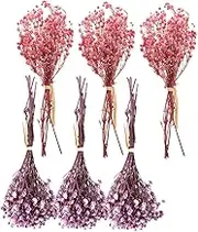 HAWILLOSCH 6pcs Dried Flowers Bouquet Babys Breath Floral Arrangement for Wedding Party Decoration for Home Decor and Photography Props