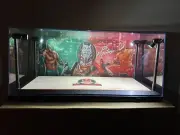 Rey Mysterio Custom 2-card PSA & BGS display case with LED lights - WWE