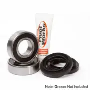 Fits 2015 Harley Davidson XL1200V Seventy-Two Wheel Bearing Kit Pivot Works