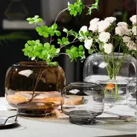 在飛比找樂天市場購物網優惠-【優選百貨】破損包賠透明花瓶 花器 輕奢花瓶裝飾擺件原色玻璃