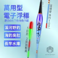 在飛比找蝦皮購物優惠-【W.S釣具-現貨快速出】電子浮標、可換尾電子浮標、萬用型電