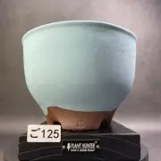 Denshi 7 Inch Ceramic Plant Pot Light Blue Agave Pachypodium Caudex Succulent