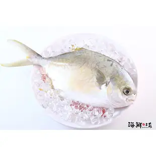 【海鮮主義】金鯧魚(約500G)