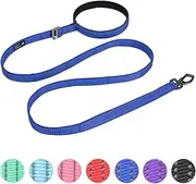 Double Layer Double-Sided Reflective Nylon Dog Leash Padded Handle 5 FT Nylon Dogs Leashes for Walking Training Lead for Small & Medium Dogs(Blue)
