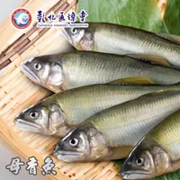 在飛比找PChome24h購物優惠-【彰化漁會】爆卵母香魚-1kg-4-5入(以重量計)-盒 (