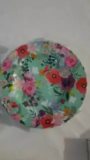 4 Melamine Plates/ Assiettes De Melamine 8.9"