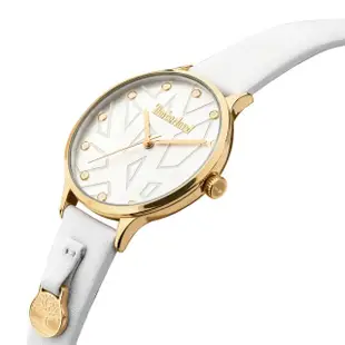 【Timberland】天柏嵐 經典大樹LOGO時尚腕錶/39mm(TDWLA2102102)