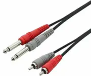 Swamp Dual 1/4" Jack to RCA Cable - Stereo 6.5mm to 2X Phono - 1m