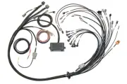 HALTECH Elite 2500 Terminated Harness HT-141381