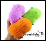 3 Capybara Puffer Air- Filled Squeeze Stress Balls - Large Rodent - Sensory, S
