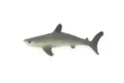 Bull Shark Realistic, Toy Figure, Model, Replica, Kids, Gift, 3" IM02 B228