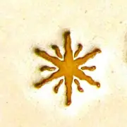 Craft Sha Leathercraft 10mmx10mm E261 Starburst Star Symbol Custom Leather Stamp