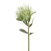 Artificial Silk Protea Leucospermum Flower Stem - Light Green (Style 3)
