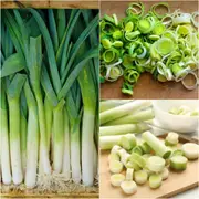 Leek - Carentan seeds