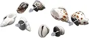 [MinnowXY] Natural Cowrie for Shell Stud Earrings Bohemian Simple Beach Cowrie for Shell Earrings Jewelry Decoration for Women