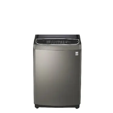 LG 16公斤直立式變頻洗衣機 WT-D169VG