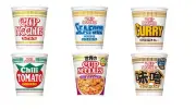 [SET OF 20 PCS] Nissin Foods Cup Noodle Box(Various Flavors)