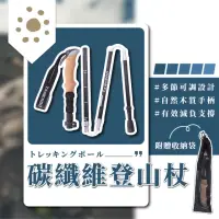 在飛比找momo購物網優惠-【萌萌小兔】碳纖維登山杖 登山杖 手杖 健走杖(徒步拐杖 戶