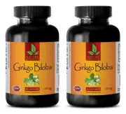 Ginko Leaf Tablets - GINKGO BILOBA EXTRACT 120mg - Brain Memory Booster - 2 Bot