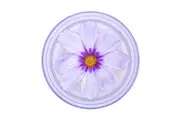 PopGrip Plant Universal Grip (Gen2) Holder Purple Cosmo