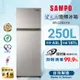 SAMPO 聲寶 250公升 MIT 一級星美滿極光鈦變頻系列雙門冰箱 SR-C25D(Y9)