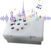 Mini Square Voice Recording Device Recordable Stuffed Animal Insert