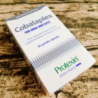 在飛比找蝦皮購物優惠-💝代開發票 Protexin Cobalaplex 可萊適 