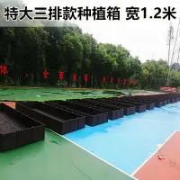 在飛比找Yahoo!奇摩拍賣優惠-溜溜屋頂大型環保綠色菜園 陽臺長方形蔬菜種植箱 種菜花盆 花