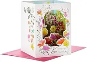 Hallmark Paper Wonder Paper Craft Birthday Card (Happy Surprises)