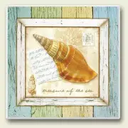 Sea Shell Single Absorbent Coaster "Triton Shell" - 02-097