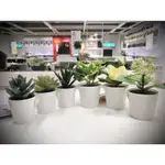 IKEA代購 FEJKA人造盆栽附花盆, 室內/戶外用 多肉植物 花盆 辦公室 人造花 人造植物