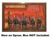 Warhammer AoS Chaos Marauder Horsemen Slaves to Darkness NO BOX OOP
