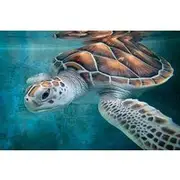 Save 10.01%! Galle Sea Turtle Farm Private Tour by Luxury Car