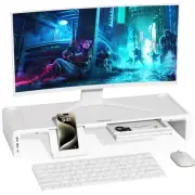 OImatser Monitor Stand Riser 3.0 USB HUB, Type-C Data Port, Foldable Computer...