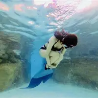 在飛比找蝦皮商城精選優惠-澳洲Mahina美人魚潛水腳蹼自由潛成人訓練蛙鞋單蹼兒童人魚