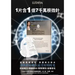 LUDEYA 鑽石美白微針生物纖維面膜 全台獨賣  私訊超優惠