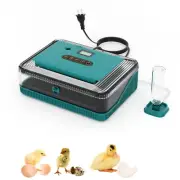 Automatica Incubadora De 36 Huevos Encubadora Gallina Pato Egg Incubator Nuevo