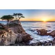 Save 7.00%! Monterey, Carmel and 17-Mile Drive: Full Day Tour from SF