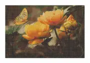 Cross Stitch Pattern Busy Butterfly New X Stitch Gwen St Designs