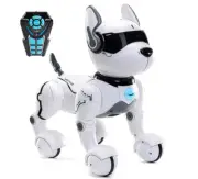 Remote Control Dog Robot Toys for Kids 3,4,5,6,7,8,9,10 Year Old and up, Smart