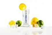 New Hi Ball Glass 2x GTG Living Water Clear w Blue Black Logo Artesian Mineral