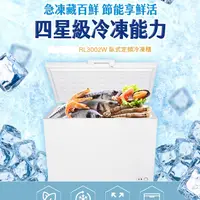 在飛比找蝦皮購物優惠-TECO東元RL3002W 300公升上掀式定頻單門冷凍櫃