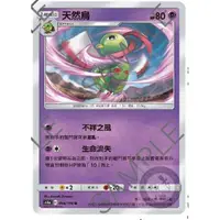 在飛比找蝦皮購物優惠-[幻想卡鋪] PTCG 中文版 As6a 056 天然鳥 U