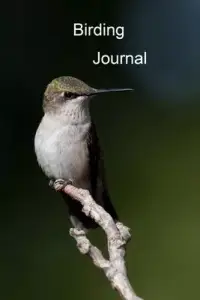 在飛比找博客來優惠-Birding Journal: A Bird Watchi