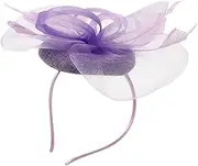[JEWEDECO] Fascinator Hat Hair Clip for Women Elegant Mesh Headband with Plume Accessory for Tea Parties Weddings and Formal Events Headwear for Special Occasions