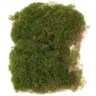 Simulated Moss Ornaments Micro Scene Mini Garden Accessory Artificial Grass Rug