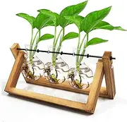 Plant Terrarium with Wooden Stand, Plant Propagation Station with Metal Swivel Holder, Retro Desktop Glass Air Planter Bulb - 3 Bulb Vases, Perfect for Hydroponics Home Garden Office Decor