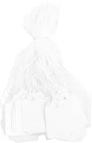 HOMSFOU 90Pcs Jewelry Price Tags with String Blank Tags for Necklaces Clothing Crafts Labels for Business Display for Pricing and Marking