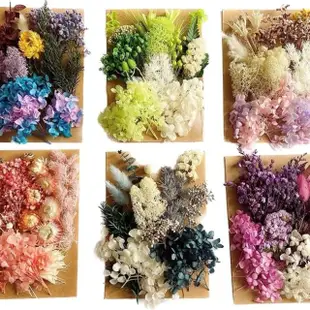 【BJ SHOP】乾燥花 量販包 浮游花 蠟燭 花藝材料包 蠟燭 乾花 居家裝飾(乾燥花 永生花)